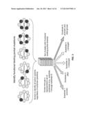 STRUCTURE-ACTIVITY RELATIONSHIPS diagram and image