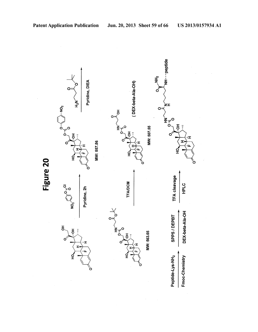 Glucagon Superfamily Peptides Exhibiting Glucocorticoid Receptor Activity - diagram, schematic, and image 60