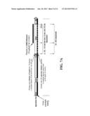 MODULATION OF GHRELIN LEVELS AND GHRELIN/UNACYLATED GHRELIN RATIO USING     UNACYLATED GHRELIN diagram and image