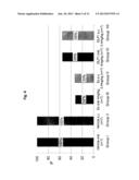 COMPOSITIONS FOR GASTRIC DELIVERY OF ACTIVE AGENTS diagram and image