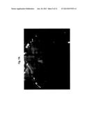 COMPOSITIONS FOR GASTRIC DELIVERY OF ACTIVE AGENTS diagram and image