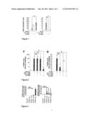 COMPOUNDS FOR STEM CELL DIFFERENTIATION diagram and image