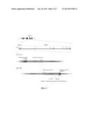 DIAGNOSIS OF COWDEN AND COWDEN-LIKE SYNDROME BY DETECTION OF DECREASED     KILLIN EXPRESSION diagram and image