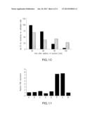 METHODS FOR INCREASING THE STABILIZATION OF HYPOXIA INDUCIBLE FACTOR-1     ALPHA diagram and image