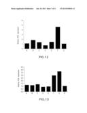 METHODS FOR INCREASING THE STABILIZATION OF HYPOXIA INDUCIBLE FACTOR-1     ALPHA diagram and image