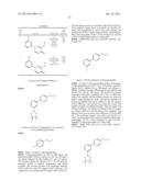 Tyrosine Kinase Inhibitors diagram and image