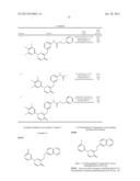 Tyrosine Kinase Inhibitors diagram and image