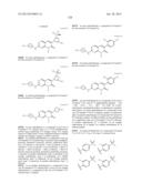 PAK INHIBITORS FOR THE TREATMENT OF CANCER diagram and image