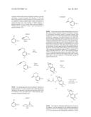 TRPV1 Antagonists diagram and image