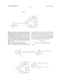 DICARBOXIMIDE DERIVATIVES OF BERBAMINE, THE PREPARATION AND USE THEREOF diagram and image