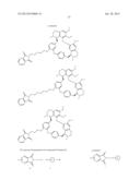 DICARBOXIMIDE DERIVATIVES OF BERBAMINE, THE PREPARATION AND USE THEREOF diagram and image