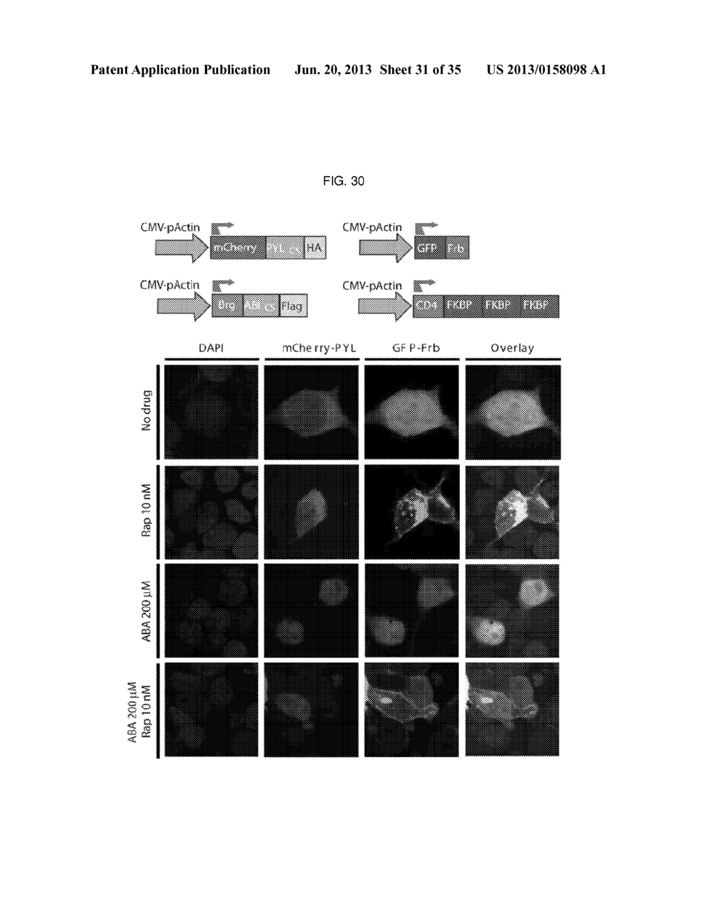 Alkenyl Substituted Cycloaliphatic Compounds as Chemical Inducers of     Proximity - diagram, schematic, and image 32