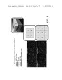 REGULATORS OF NFAT AND/OR STORE-OPERATED CALCIUM ENTRY diagram and image