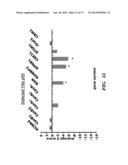 REGULATORS OF NFAT AND/OR STORE-OPERATED CALCIUM ENTRY diagram and image