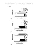 VECTORS AND SEQUENCES FOR THE TREATMENT OF DISEASES diagram and image