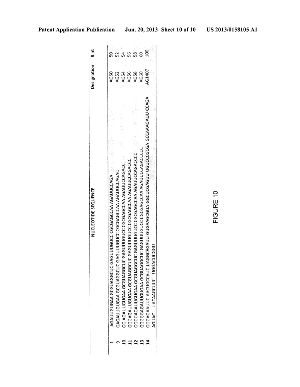 CONFORMATION-SELECTIVE NUCLEIC ACID INHIBITORS OF AMPA GLUTAMATE RECEPTORS - diagram, schematic, and image 11