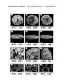 SILK FIBROIN MATERIALS AND USE THEREOF diagram and image