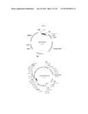 HYDROLYSIS OF MANNOSE-1-PHOSPHO-6-MANNOSE LINKAGE TO PHOSPHO-6-MANNOSE diagram and image