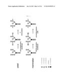 HYDROLYSIS OF MANNOSE-1-PHOSPHO-6-MANNOSE LINKAGE TO PHOSPHO-6-MANNOSE diagram and image