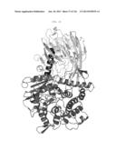 HYDROLYSIS OF MANNOSE-1-PHOSPHO-6-MANNOSE LINKAGE TO PHOSPHO-6-MANNOSE diagram and image