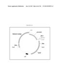 HYDROLYSIS OF MANNOSE-1-PHOSPHO-6-MANNOSE LINKAGE TO PHOSPHO-6-MANNOSE diagram and image