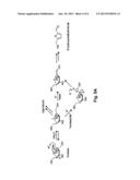 CHEMICAL TRANSFORMATION OF LIGNOCELLULOSIC BIOMASS INTO FUELS AND     CHEMICALS diagram and image