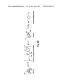 CHEMICAL TRANSFORMATION OF LIGNOCELLULOSIC BIOMASS INTO FUELS AND     CHEMICALS diagram and image