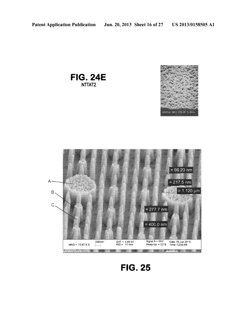 MEDICAL DEVICES FOR DELIVERY OF siRNA - diagram, schematic, and image 17