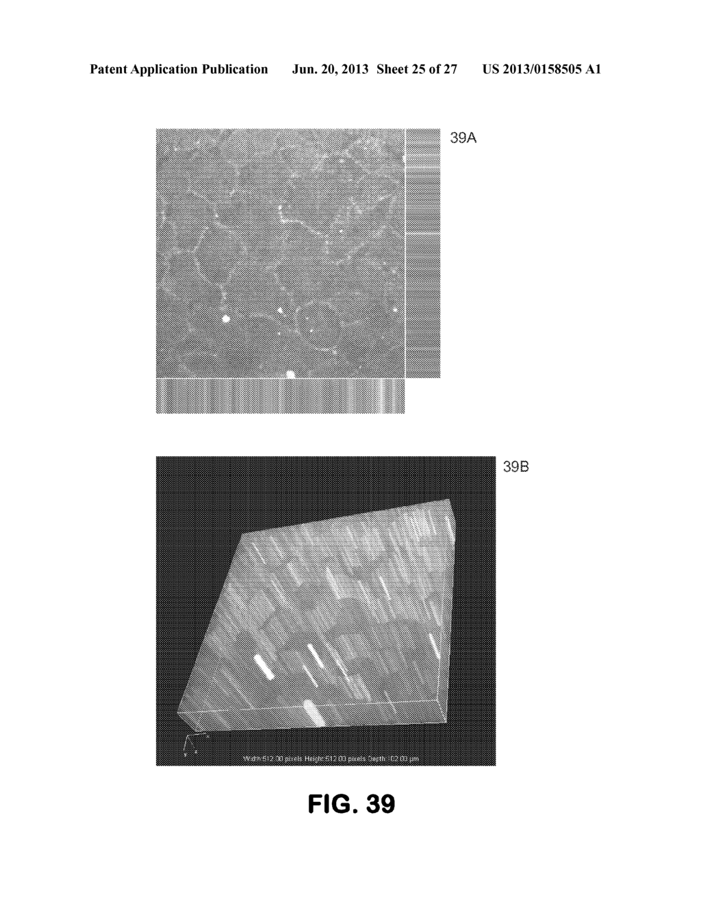 MEDICAL DEVICES FOR DELIVERY OF siRNA - diagram, schematic, and image 26