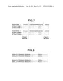 METHOD FOR IDENTIFYING NUCLEOTIDE SEQUENCE, METHOD FOR ACQUIRING SECONDARY     STRUCTURE OF NUCLEIC ACID MOLECULE, APPARATUS FOR IDENTIFYING NUCLEOTIDE     SEQUENCE, APPARATUS FOR ACQUIRING SECONDARY STRUCTURE OF NUCLEIC ACID     MOLECULE, PROGRAM FOR IDENTIFYING NUCLEOTIDE SEQUENCE, AND PROGRAM FOR     ACQUIRING SECONDARY STRUCTURE OF NUCLEIC ACID MOLECULE diagram and image