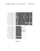 MANIPULATION OF GLUTAMINE SYNTHETASES (GS) TO IMPROVE NITROGEN USE     EFFICIENCY AND GRAIN YIELD IN HIGHER PLANTS diagram and image