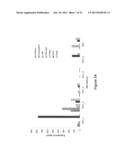 MANIPULATION OF GLUTAMINE SYNTHETASES (GS) TO IMPROVE NITROGEN USE     EFFICIENCY AND GRAIN YIELD IN HIGHER PLANTS diagram and image