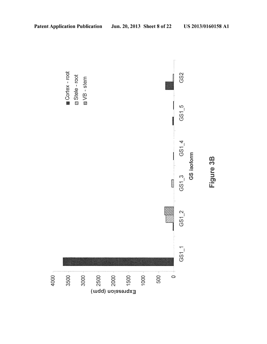 MANIPULATION OF GLUTAMINE SYNTHETASES (GS) TO IMPROVE NITROGEN USE     EFFICIENCY AND GRAIN YIELD IN HIGHER PLANTS - diagram, schematic, and image 09