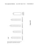 MANIPULATION OF GLUTAMINE SYNTHETASES (GS) TO IMPROVE NITROGEN USE     EFFICIENCY AND GRAIN YIELD IN HIGHER PLANTS diagram and image