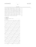 MANIPULATION OF GLUTAMINE SYNTHETASES (GS) TO IMPROVE NITROGEN USE     EFFICIENCY AND GRAIN YIELD IN HIGHER PLANTS diagram and image