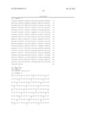 MANIPULATION OF GLUTAMINE SYNTHETASES (GS) TO IMPROVE NITROGEN USE     EFFICIENCY AND GRAIN YIELD IN HIGHER PLANTS diagram and image