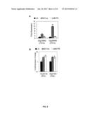 INHIBITION OF SNL6 EXPRESSION FOR BIOFUEL PRODUCTION diagram and image