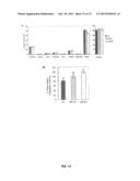 INHIBITION OF SNL6 EXPRESSION FOR BIOFUEL PRODUCTION diagram and image