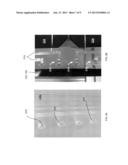 FRAMELESS PHOTOVOLTAIC MODULE diagram and image