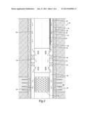 Downhole Packer Assembly Having a Selective Fluid Bypass and Method for     Use Thereof diagram and image