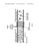 PROCESS FOR SINGLE SYSTEM ELECTROCOAGULATION, MAGNETIC, CAVITATION AND     FLOCCULATION (EMC/F) TREATMENT OF WATER AND WASTEWATER diagram and image