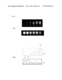 THERMOLUMINESCENT PHOSPHOR AND METHOD OF PRODUCING THE SAME diagram and image