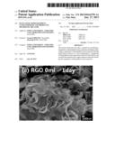 MANGANESE OXIDE/GRAPHENE NANOCOMPOSITE AND PRODUCING METHOD OF THE SAME diagram and image