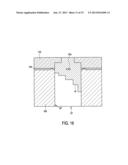 DUAL-POLARIZED OPTICALLY CONTROLLED MICROWAVE ANTENNA diagram and image