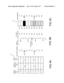 DISPLAY CONTROL APPARATUS diagram and image