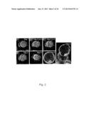 IMAGING AND EVALUATING EMBRYOS, OOCYTES, AND STEM CELLS diagram and image