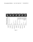 IMAGING AND EVALUATING EMBRYOS, OOCYTES, AND STEM CELLS diagram and image