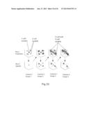 IMAGING AND EVALUATING EMBRYOS, OOCYTES, AND STEM CELLS diagram and image