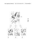 QUANTITATIVE PHASE MICROSCOPY FOR LABEL-FREE HIGH-CONTRAST CELL IMAGING     USING FREQUENCY DOMAIN PHASE SHIFT diagram and image