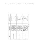 QUANTITATIVE PHASE MICROSCOPY FOR LABEL-FREE HIGH-CONTRAST CELL IMAGING     USING FREQUENCY DOMAIN PHASE SHIFT diagram and image